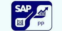sap pp course